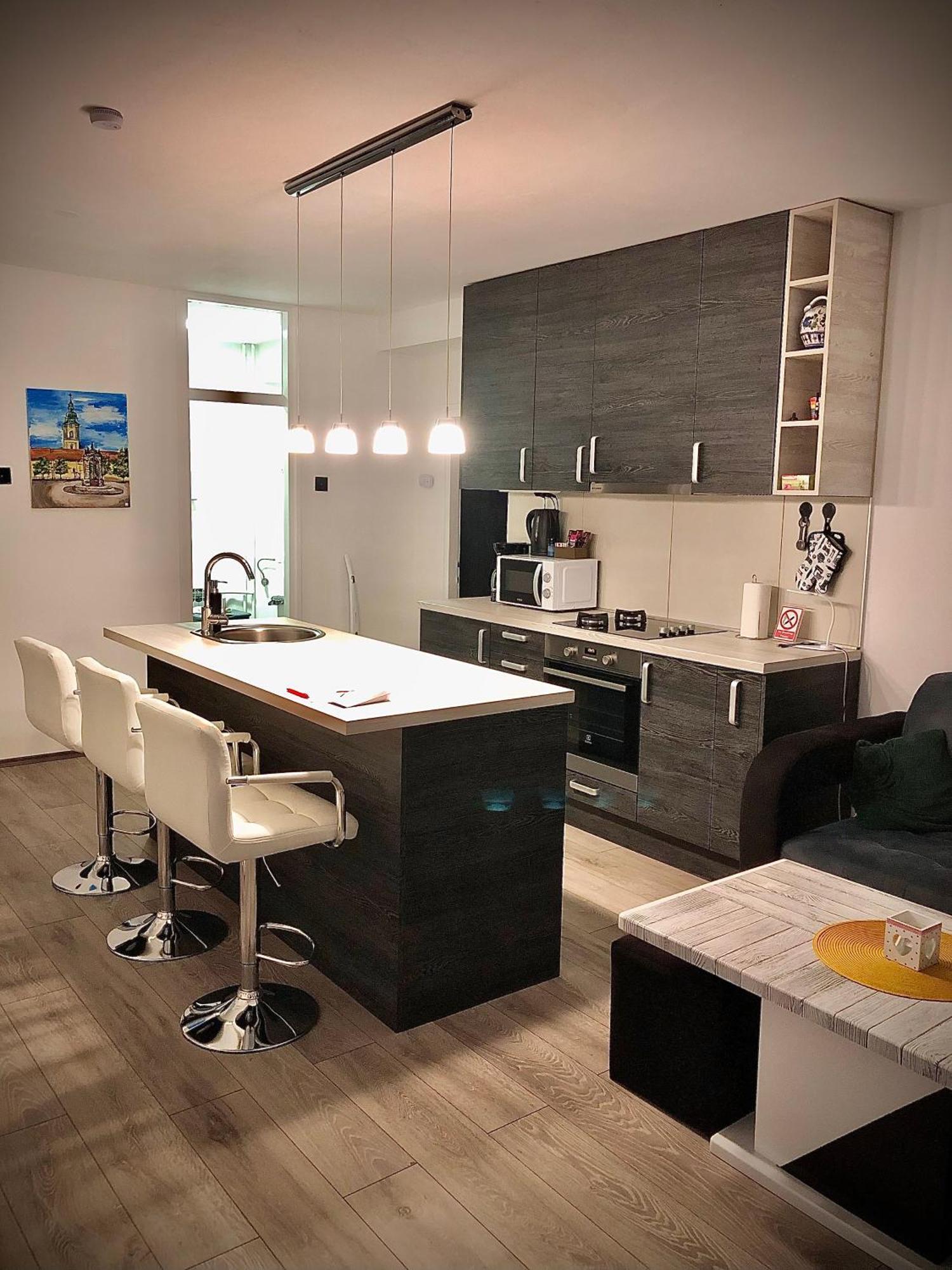 Treba Malo Odmorit - Self Check-in Option, Family Room, Ps4 Pro, Free Parking Apartment Karlovac